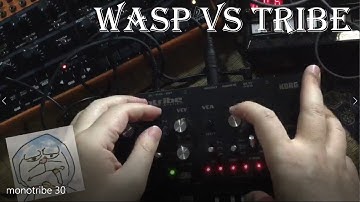 monotribe #30 (with volca kick, volca drum,and behringer crave) driven by behringer wasp