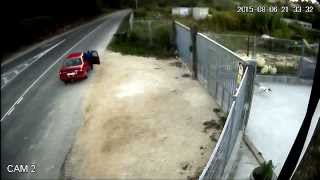Os Palleiros, a Galician animal protection charity - Euro Weekly News