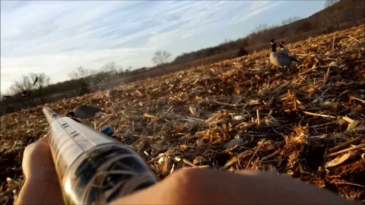 Tennessee Goose Hunting 2013 YouTube