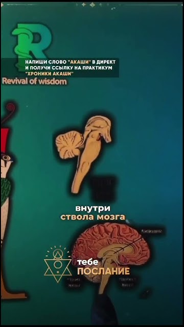 Символы правят миром #google #ok - YouTube