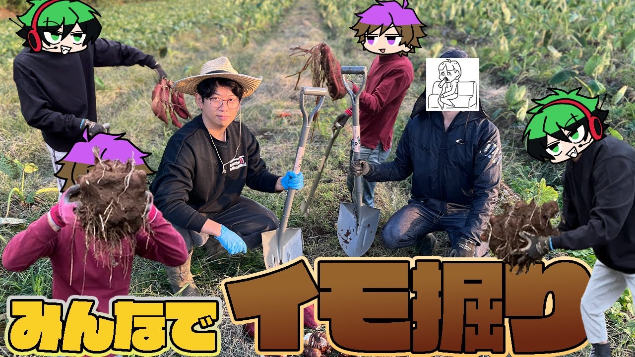 きんときとスマイルとシャークんが芋ほりに来ました！【まさかの冒頭に！？】【きリイモファーム】