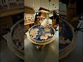 Satisfying Epoxy Resin Art: Making a Luxury Ocean Blue River Table