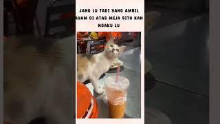 ada ayam terbang jek nya