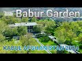 From Mughal Marvel To Modern Haven The Story Of Babur S Gardens