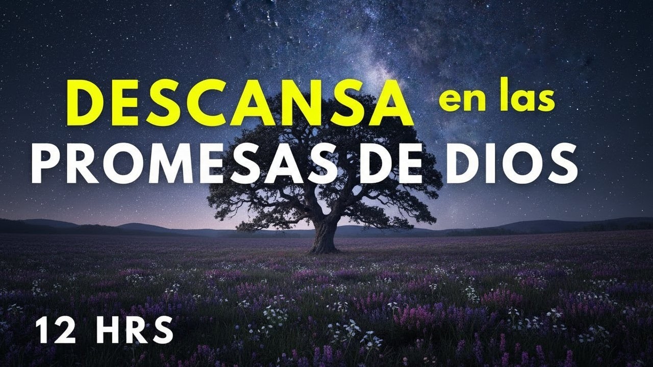 Recibe paz y libertad escuchando la Palabra de Dios 📖Hermosos versículos Bíblicos |Biblia Hablada