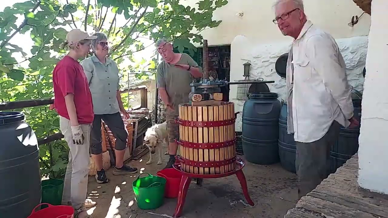 Timelapse of Pressing Grapes in a Wine Press