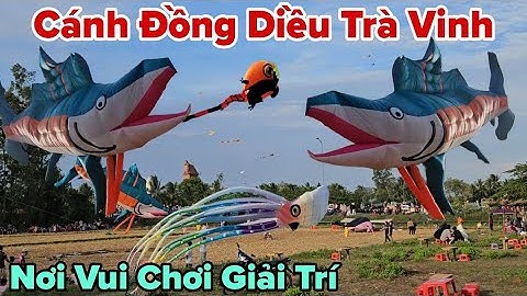 Hội thi thả diều ở trà vinh nét đẹp quê hương