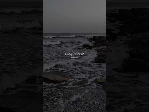 من أول يوم في لقانا خالد الصيفي عامر منيب بينا نعيش حالات واتس رومانسي حب