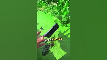 Het vastleggen van coole onderwaterbeelden gaat mis 😭 🔥