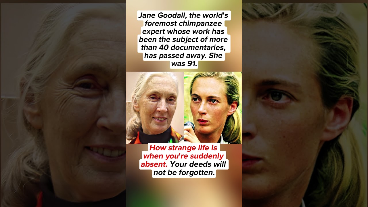 Famous Primatologist Jane Goodall Passes Away at 91