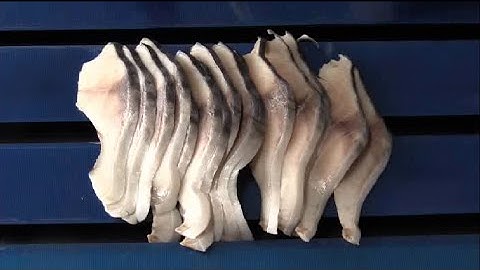 Slicing Mackerel on MAASS Slicer