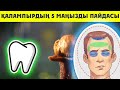 ҚАЛАМПЫР ҚАЗІРГІ КЕЗДЕ ЕҢ КЕРЕК ШИПАЛЫ ДӘМДЕУІШ / Денсаулыққа пайдасы мол дәмдеуіш