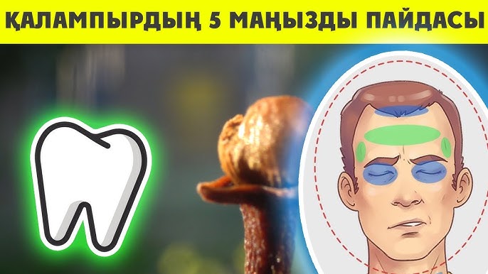 Пенисені қалай сипау керек