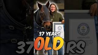 Meet Fancy: The OLDEST Living Horse 🐴 @VroZentSolid