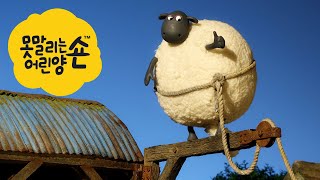 Download lagu 스케이트보드 [Shaun the Sheep Korea S3 | Full Episode]