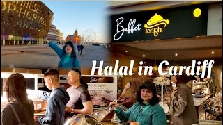 "Best Halal Restaurant Near Cardiff Bay? We Found It!