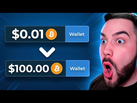 wildsino casino bonus