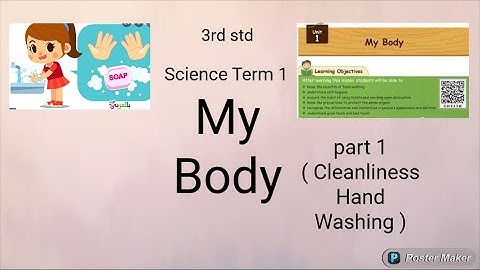3rd std Science My Body