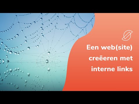 Video: Wat zijn interne controles en waarom zijn ze belangrijk?