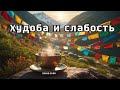 Худоба и слабость? Пей это — и тело скажет «Спасибо»