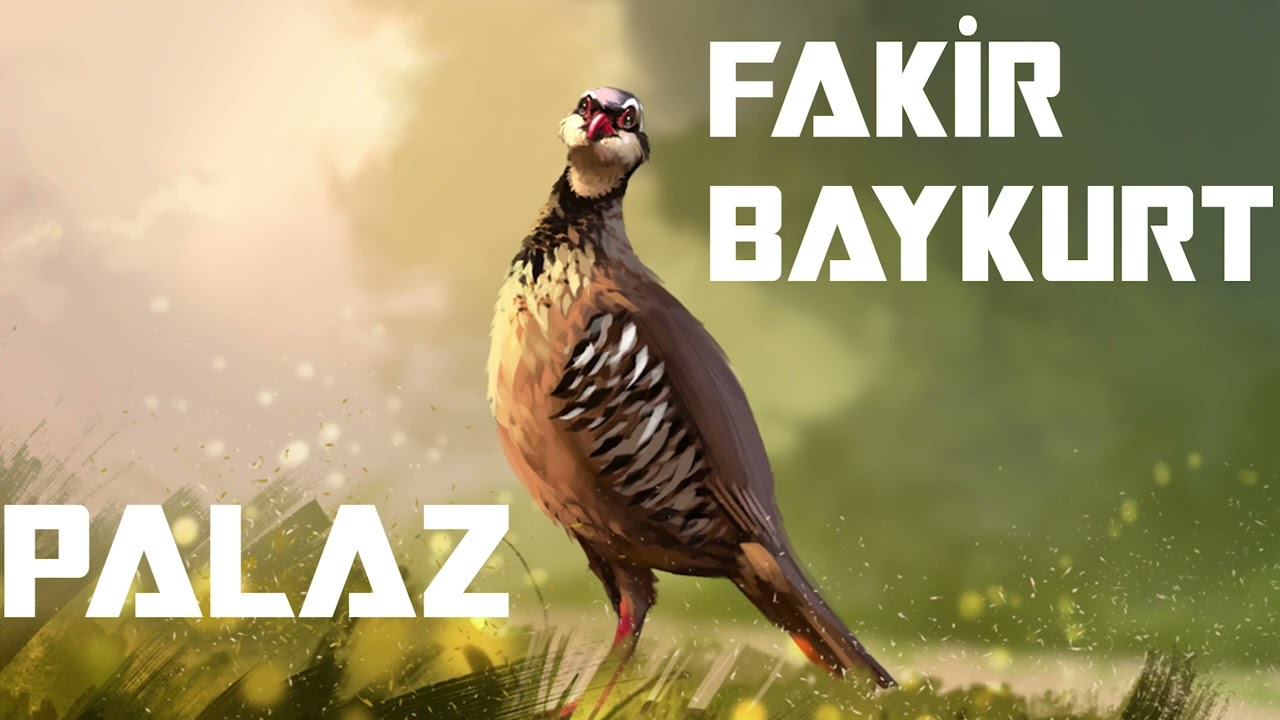 Hikâyeler | Fakir Baykurt - Palaz (Sesli Hikâye/Kitap) B004