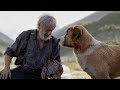 He Was Just a Dog… Until the Wilderness Awakened His True Nature | The Call of the Wild Recap