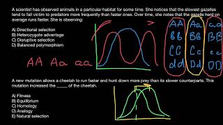 Balanced polymorphism, Disruptive selection, Heterozygous advantage, Directional selection