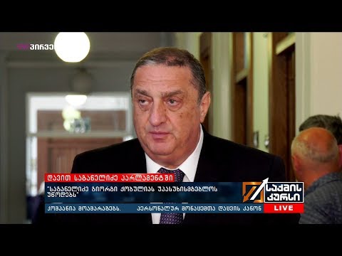 დავით საგანელიძე პარლამენტში: „ჩემს საქმიანობას პოზიტიურად ვაფასებ“