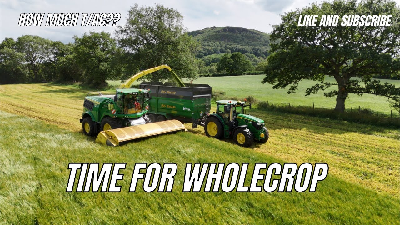 TIME FOR WHOLECROP!!! GUESS THE t/ac 🤔