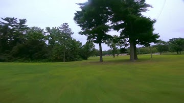 Kiss Vs FalcoX Flight Comparison