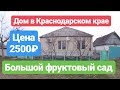 Дом в Краснодарском крае с большим фруктовым садом.