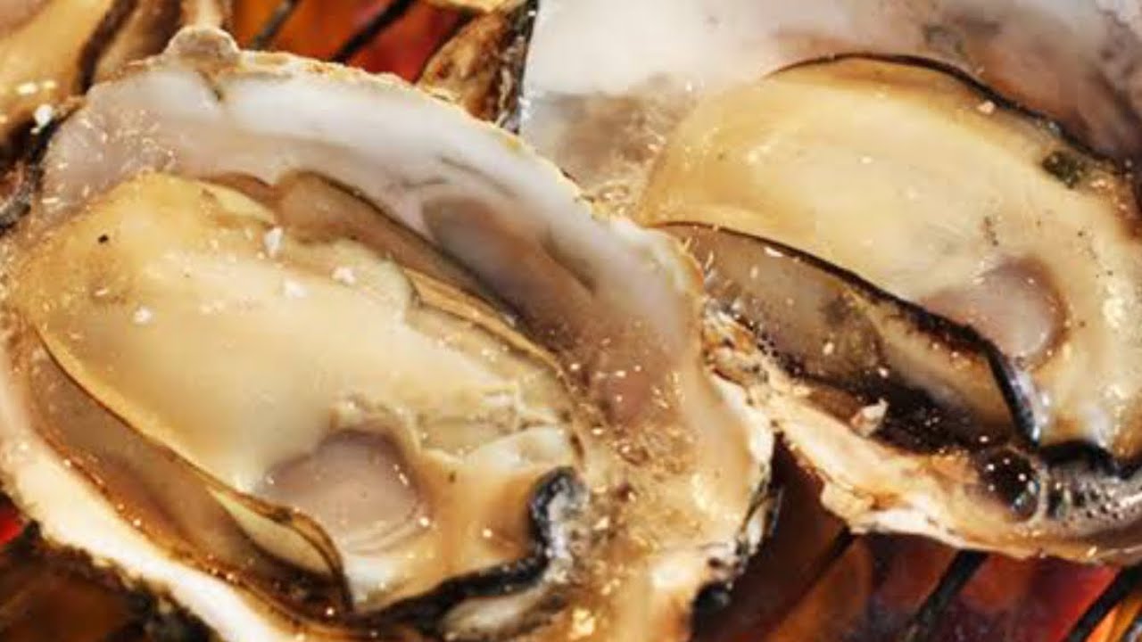 生ガキを焼いて日本酒入れて呑んだ