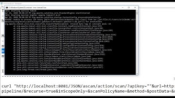 Selenium and ZAP Automation in CICD Pipelines