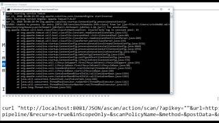 Selenium and ZAP Automation in CICD Pipelines