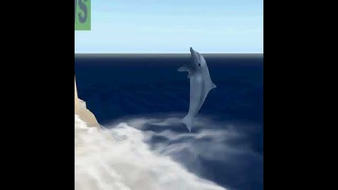 Second Life building tutorial- Dolphin movement