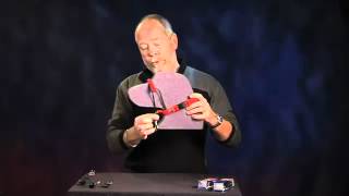 BLACK DOG TRAINING HALTER How to fit