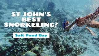 Salt Pond Bay Beach - St John, USVI Snorkeling - 4K by Jaychel 6,784 views 3 years ago 6 minutes