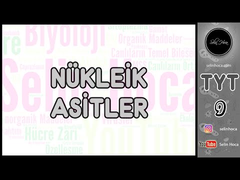 9) Nükleik Asitler