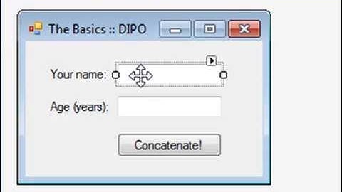 Variables, Data Types, Assignment Statements and Concatenation