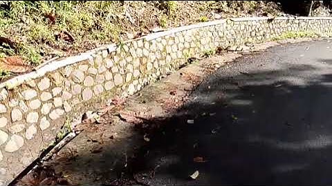 Jalan jalan pagi sambil menikmati udara segar dan terbit nya matahari