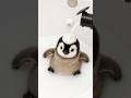 Cutest little penguins #cute #adorable #pet #penguin #babyanimals #fluffy #cuteanimal