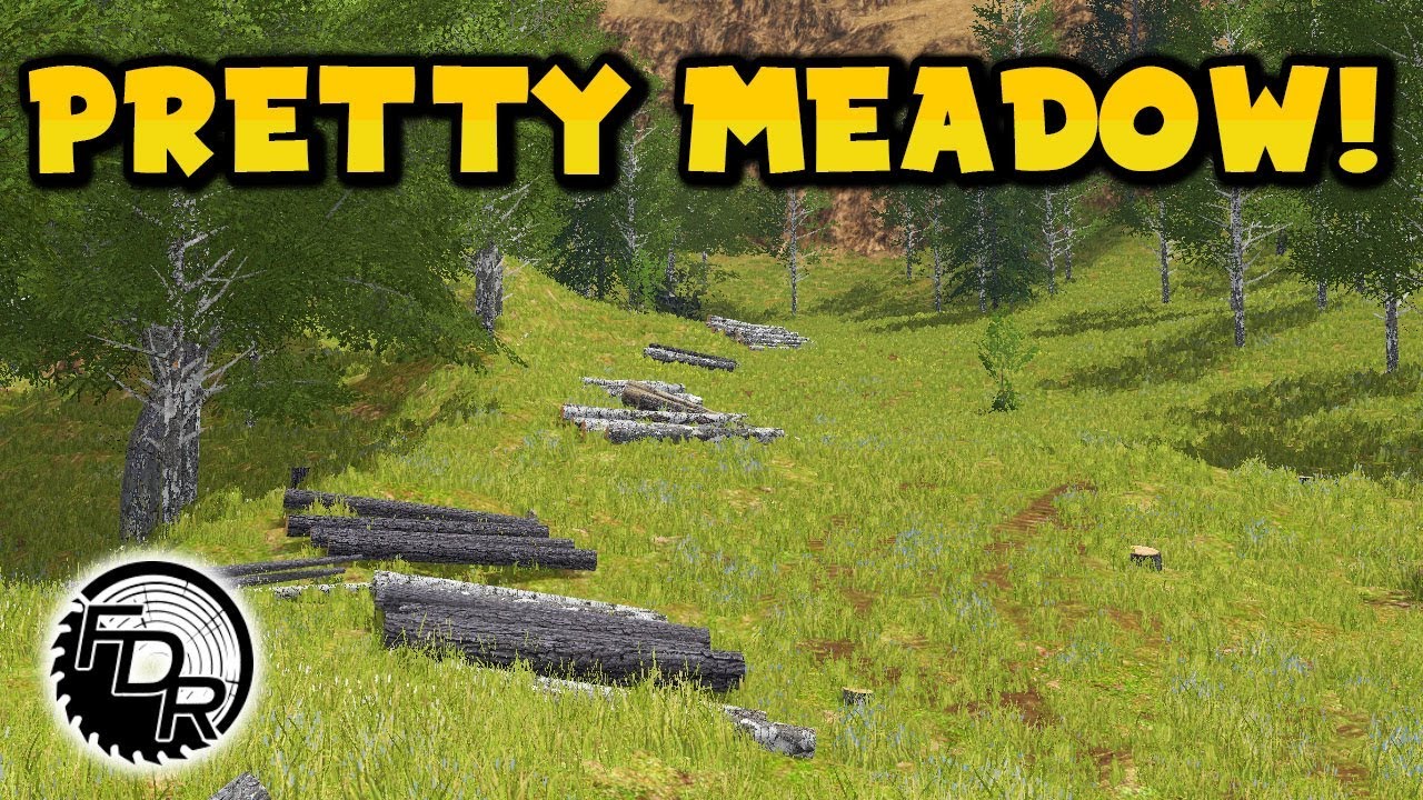 Into The Medow | Farming Simulator 2017 | Logging & Forestry #163 woodchuck