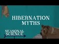 Hibernation | Seasonal Science | UNC-TV