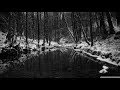 Black river  official music lyric by stereo rex