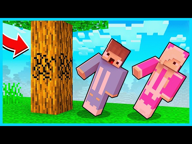 MIPAN & ZUZUZU TIDAK BISA MENYENTUH KAYU DI MINECRAFT!