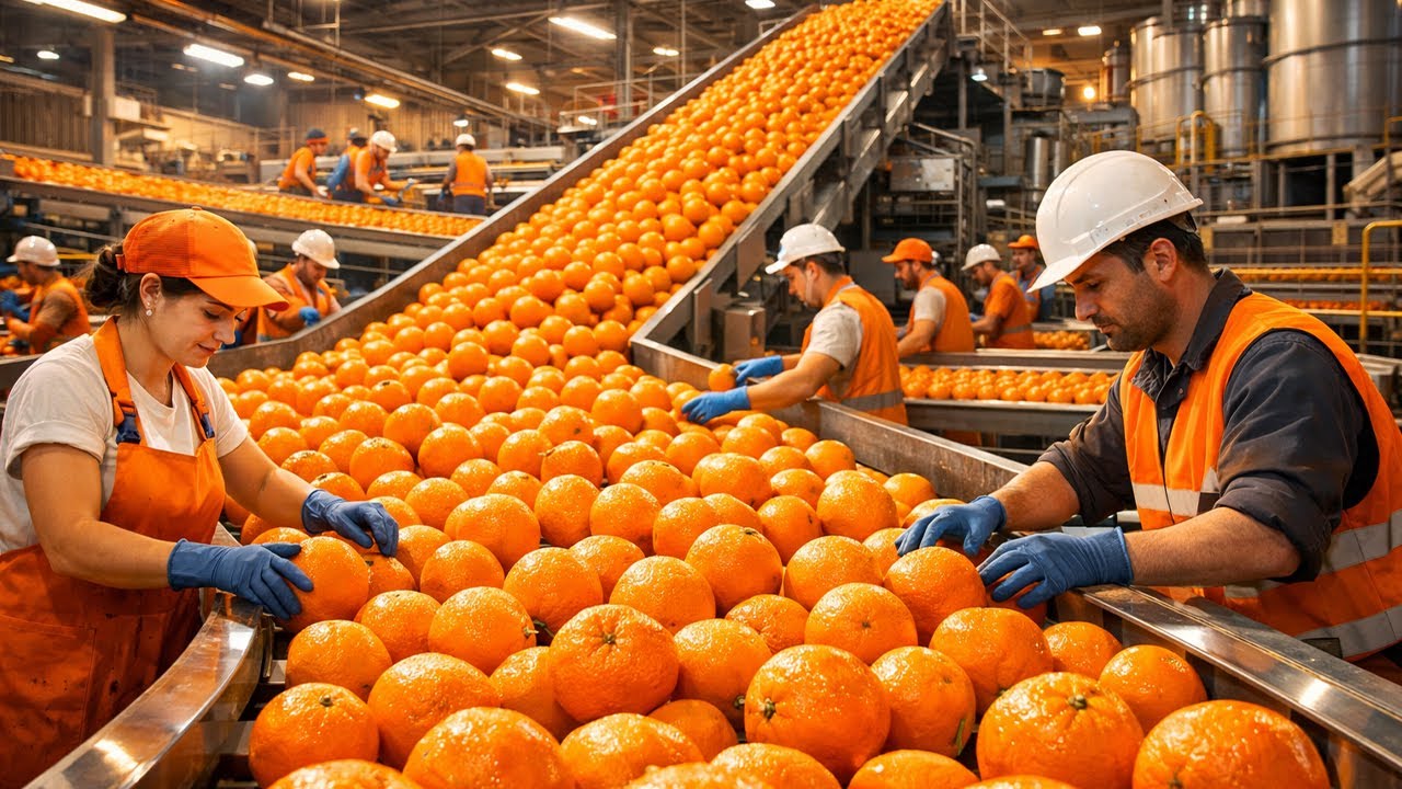 This Orange Juice Factory Will Blow Your Mind!