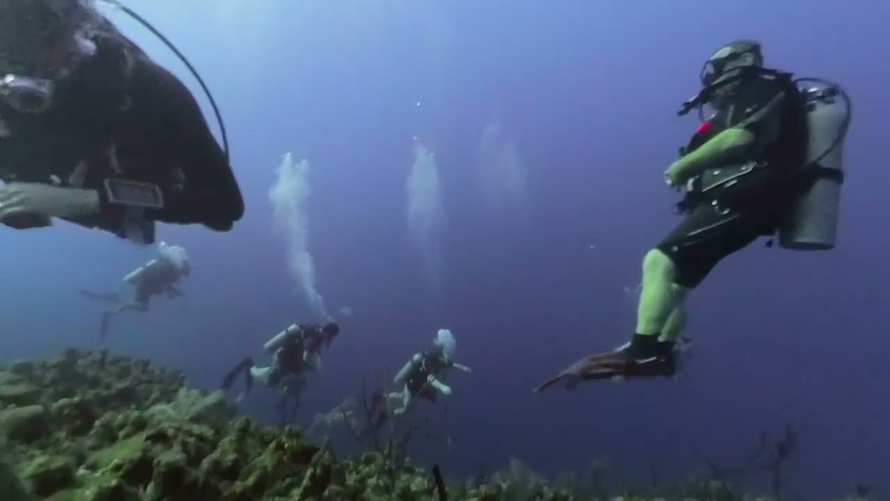 DD6 Grand Cayman Doc Paulson 3