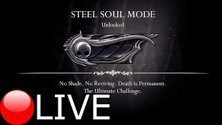 🔴Hollow Knight STEEL SOUL: Day 2