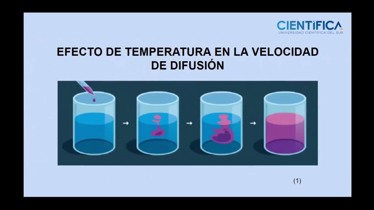 EFECTO DE TEMPERATURA EN LA VELOCIDAD