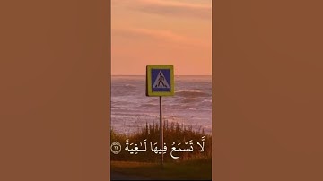 #القرآن_الكريم #تلاوة_خاشعة #تلاوة_هادئة #عبدالرحمن_مسعد #اكسبلور